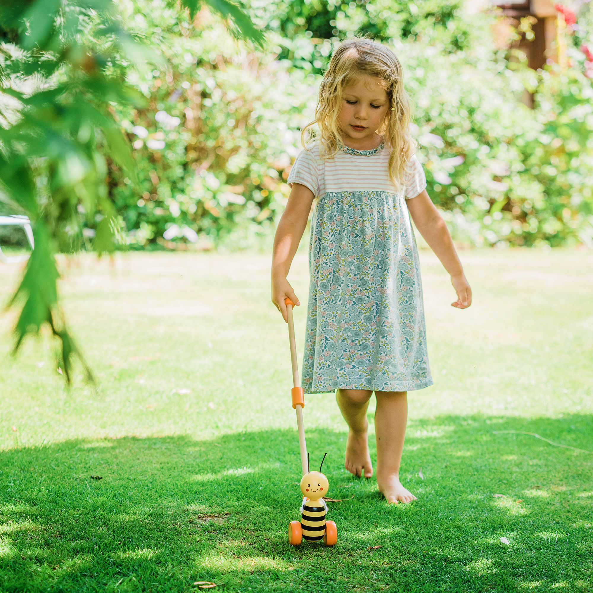 Honey Bee Push Along